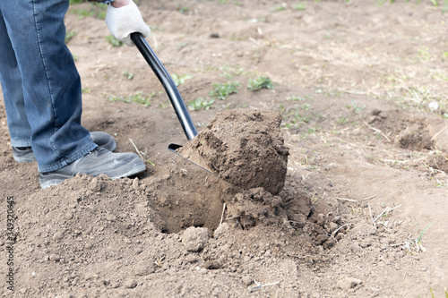 Digging the earth with a metal shovel. Work in the garden. Spring digging. Closeup