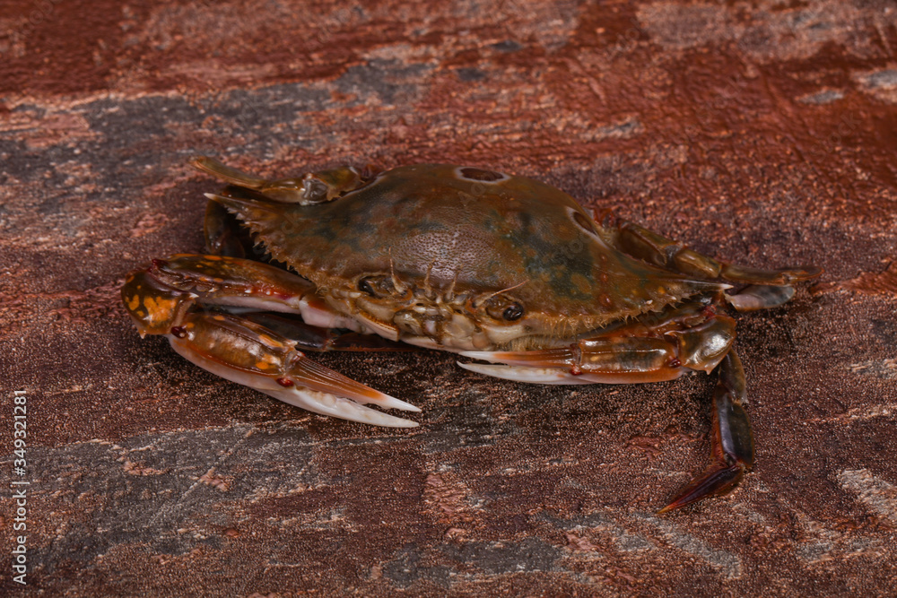 Raw crab - ready for cooking Raw crab - ready for cooking