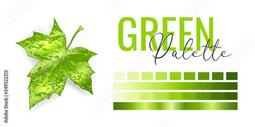 Fashion bright green metallic color trend. Colour palette with different shades of green color and gradient. Spring fresh tree leaf on white background. Paint palette mock up. Vector illustration