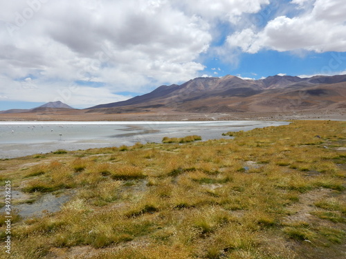 Fototapeta Naklejka Na Ścianę i Meble -  Laguna Blanca in the south of Bolivia, near the chilean border.