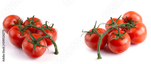 ripe tomatoes on the vine, white insulated background