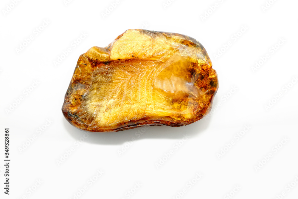 Amber with a unique imprint of an ancient leaf of a tree on a white background. Archaeological rarity. Petrified resin of tropical trees. Natural mineral for jewelry. Sun stone. Copal. Crystal