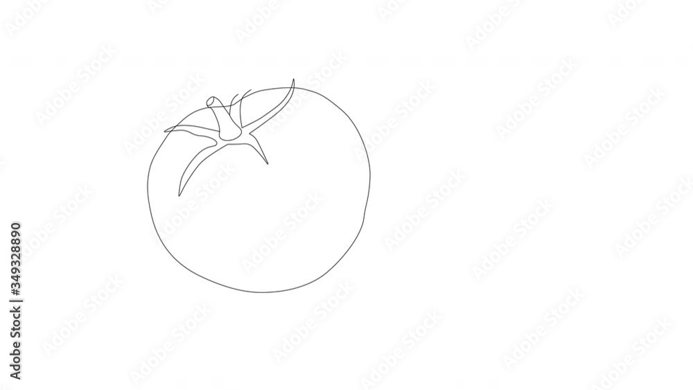 Self drawing animation of fresh green tomato. White background. Copy space. Self drawing animation of fresh green tomato. White background. Copy space.