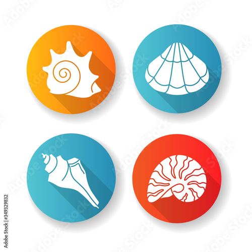 Various seashells flat design long shadow glyph icons set. Sea shells collection hobby, conchology Rock shell, scallop, triton conch and moonshell silhouette RGB color illustrations