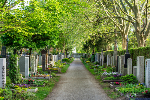 Quadro su tela Friedhof im Frühling / Grabpflege: frisch bepflanzte Gräber und schöne grüne Bäu