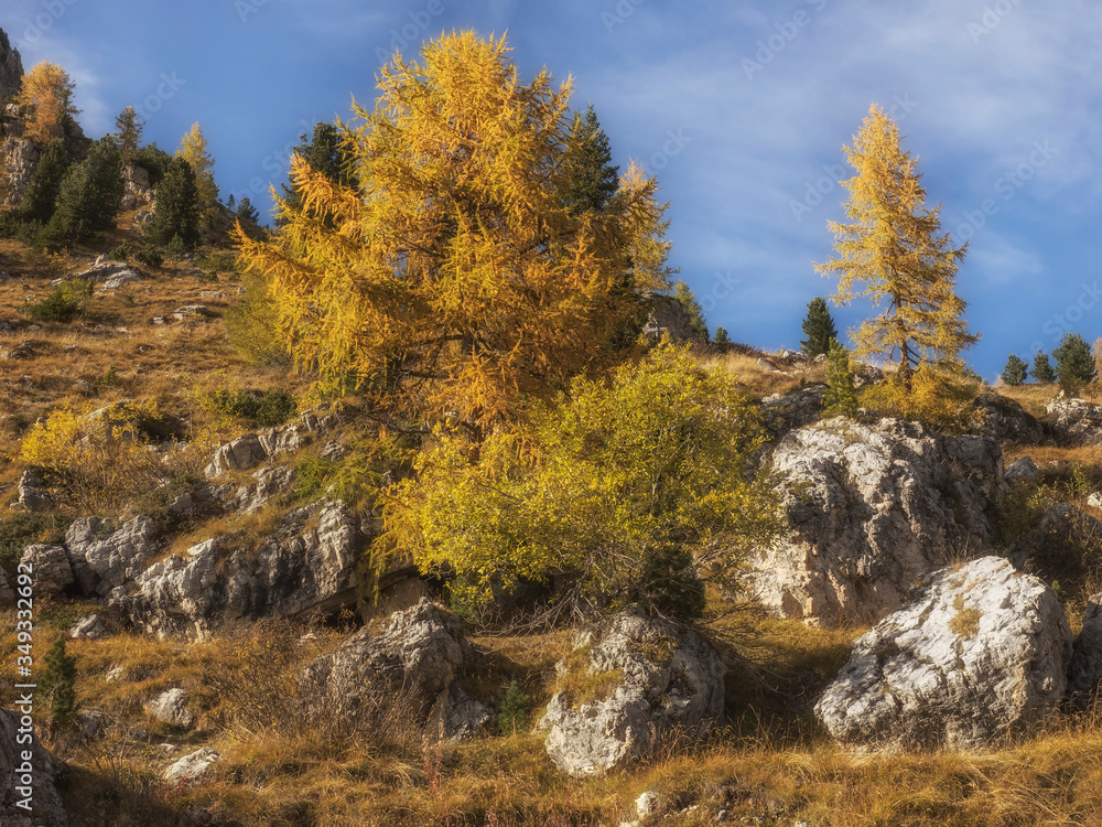 Fototapeta premium Types of Dolomites. 