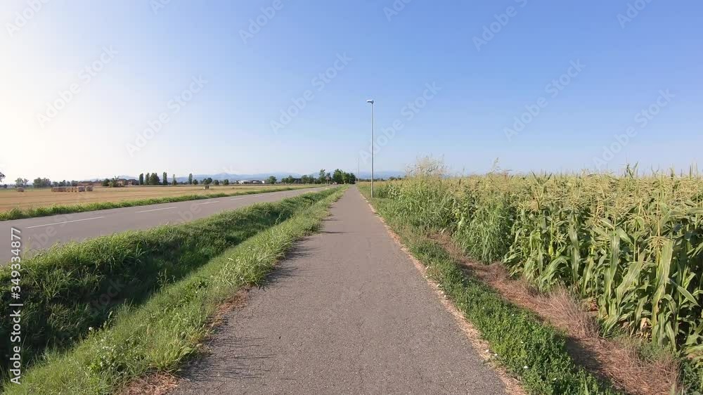 bicycle path along cornfields next to Pontenure town, Province of Piacenza, Emilia-Romagna region, Italy bicycle path along cornfields next to Pontenure town, Province of Piacenza, Emilia-Romagna region, Italy