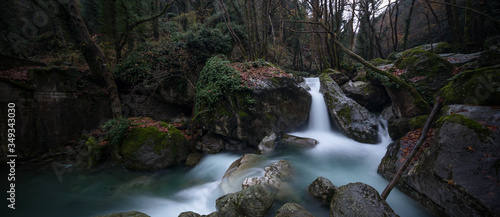 River passing the forest with trees photo