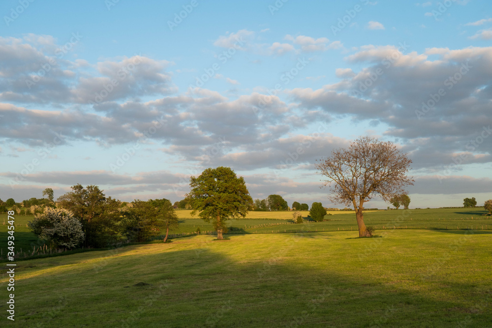 Frühlingswiesen im Mai