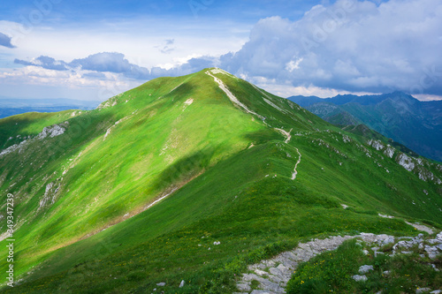 Fototapeta Naklejka Na Ścianę i Meble -  Mountain trails in June. Tatry. Area of Czerwone Wierchy.