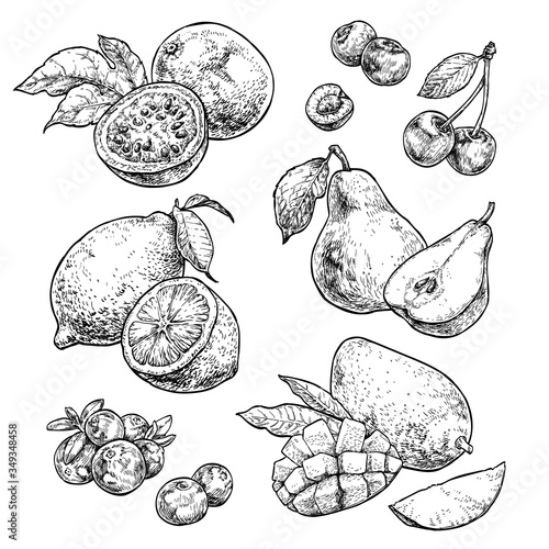 Fresh and juicy fruits set 2. Doodle vegan food illustrations. Hand drawn illustration isolated on white background.