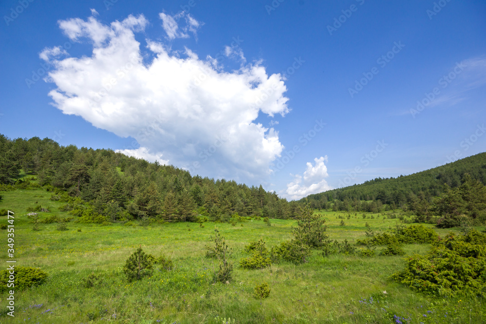 Fototapeta premium Rhodope Mountains near village of Dobrostan, Bulgaria