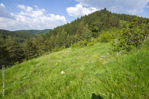 Rhodope Mountains near village of Dobrostan  Bulgaria