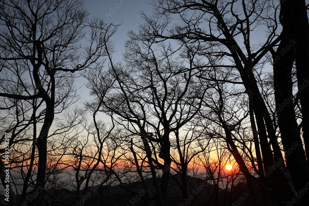 sunrise in the mountains with tree silhouette sunrise in the mountains with tree silhouette