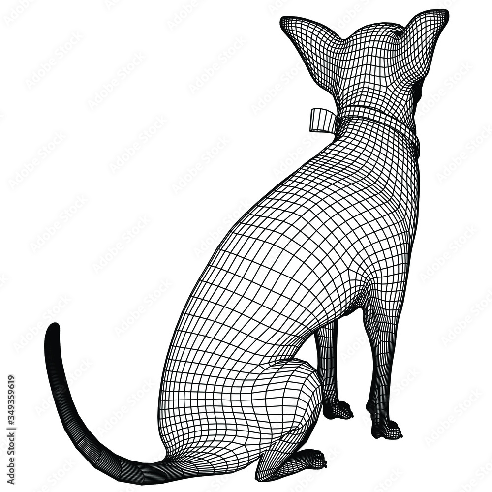 Fototapeta premium Chihuahua dog sitting polygonal lines illustration. Abstract vector dog on the white background