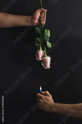 rose and fire