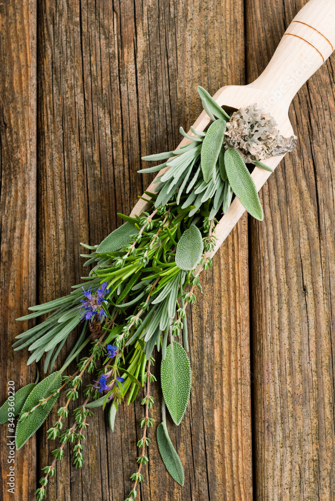 herbal plants and medicine capsules on old wooden herbal plants and medicine capsules on old wooden