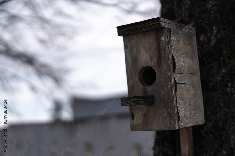 Birdhouse on a tree for birds