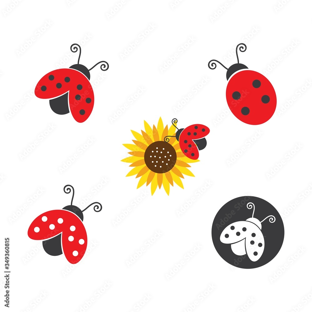 Fototapeta premium ladybug vector icon illustration design
