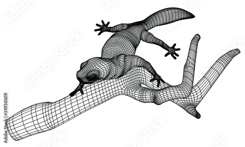 Gecko lizard polygonal lines illustration. Abstract vector lizard on the white background © kurtcan