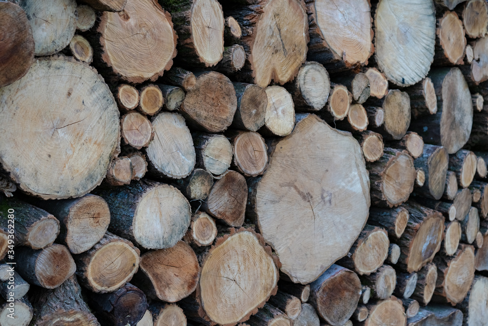 Logs lie on top of each other in large numbers Logs lie on top of each other in large numbers