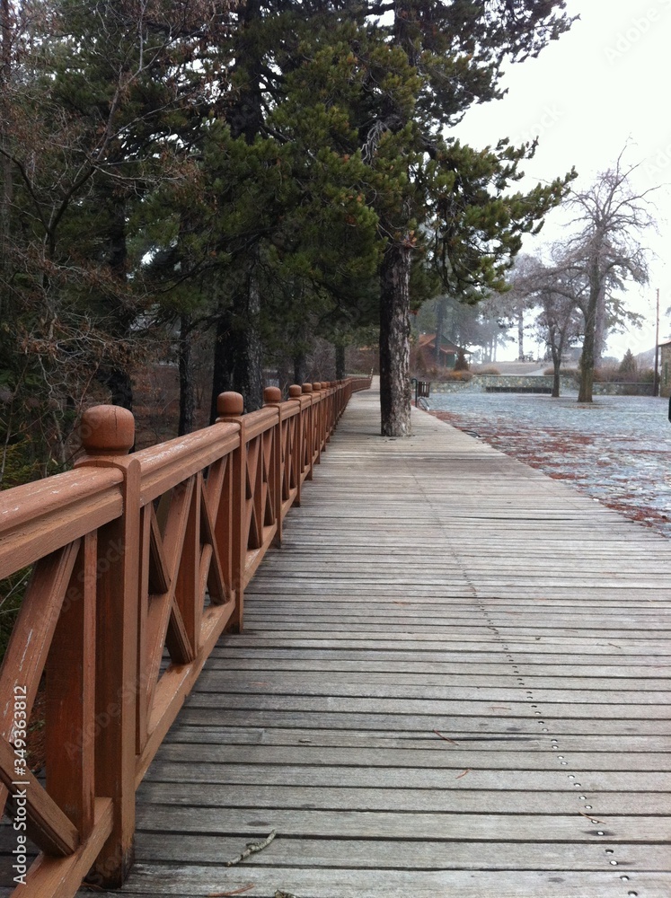 bridge in the park