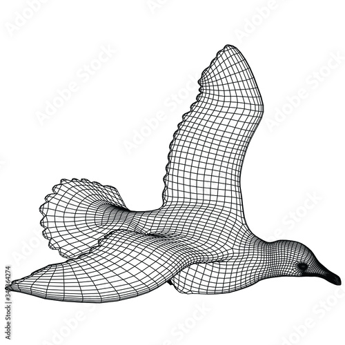 Seagull polygonal lines illustration. Abstract vector bird on the white background