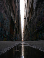 Keuken achterwand Smal steegje Smalle steeg in Melbourne stad  © Pat Whelen