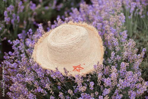 Wicker hat with red star ornament in lavender field. Small violet flowers