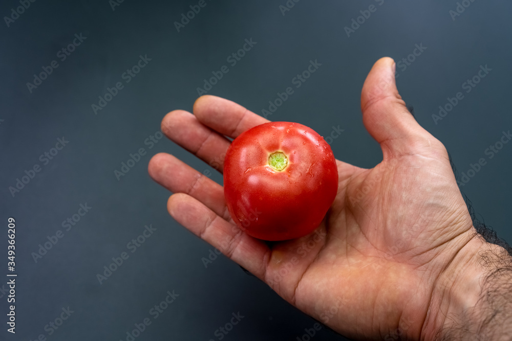 Red tomato in hand on a black background Red tomato in hand on a black background