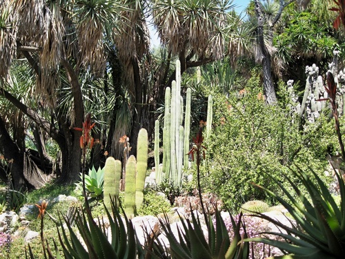 Giardini Botanici Hanbury
