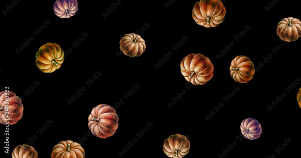 High quality cartoon animation. Hand-drawn orange seasonal fall autumn pumpkins falling down like a rain and rotate on black background. Halloween or Thanksgiving animated seamless pattern in loop. High quality cartoon animation. Hand-drawn orange seasonal fall autumn pumpkins falling down like a rain and rotate on black background. Halloween or Thanksgiving animated seamless pattern in loop.