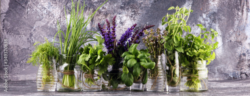 Fresh various herbs in glasses on a rustic background. Basil, flower sage, thyme, oregano, dill, chives, parsley and coriander.