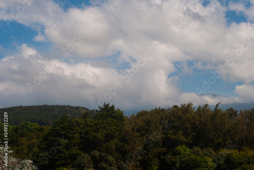 Forest mountains in rural Guatemala, trees that supply oxygen and food for humans.