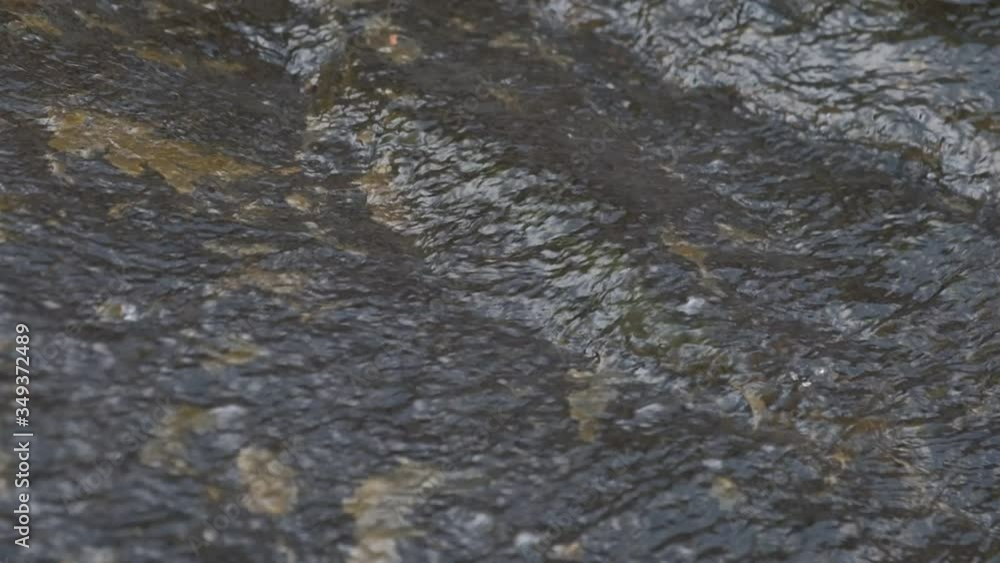 Water flowing through the river detail slow motion Water flowing through the river detail slow motion