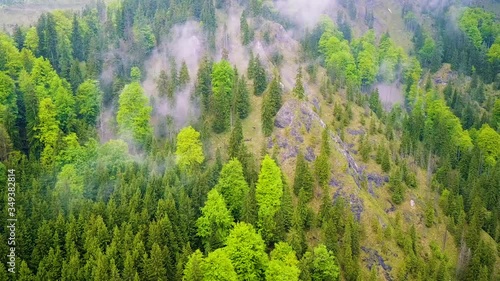 Drone shot in an Austrian primeval forest photo