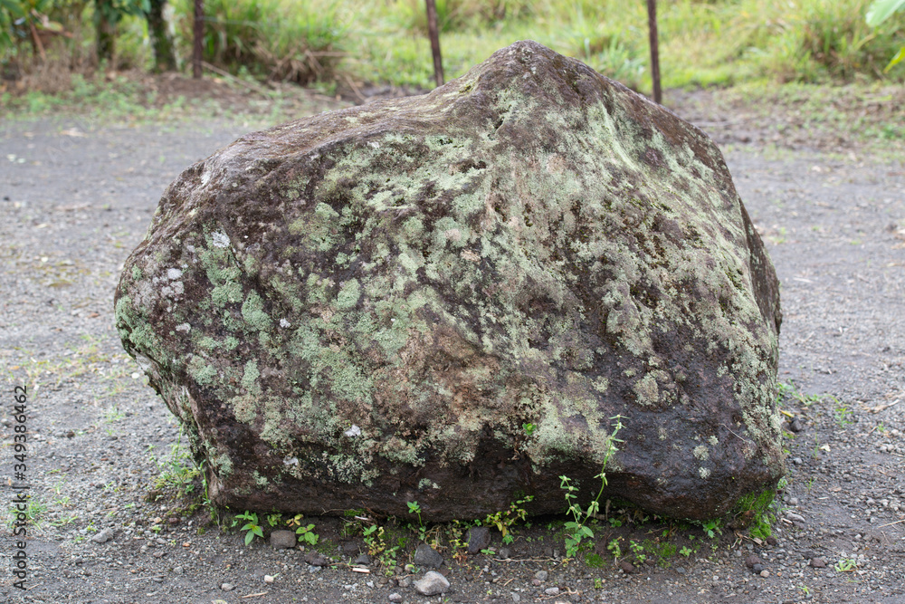 Rock-Arenal Volcano park-Costa Rica, Central America Rock-Arenal Volcano park-Costa Rica, Central America