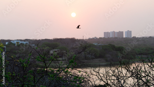 sunset over the city