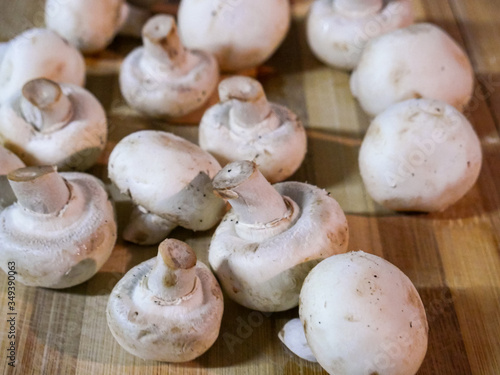 Delicious mushrooms for vegan cuisine