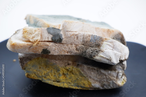 Moldy Bread © Surachat