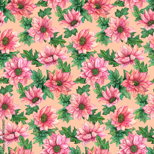 Watercolor pink chrysanthemum flowers green leaves seamless pattern texture background