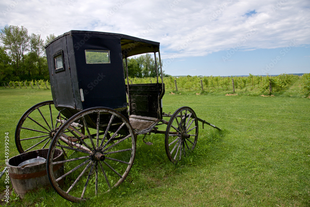scenery of the winery with an abandoned horse carriage