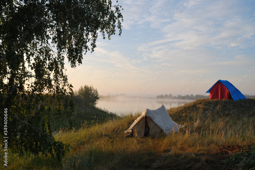 Morning in the field