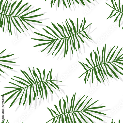 Green tropical palm leaves or pine branch seamless pattern. Limitless background with floral flat cartoon elements  botany sign. Repeat ornament for paper wrap  fabric  print. Vector illustration