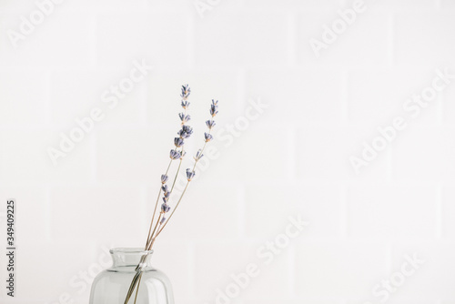 Minimalist lavender sprigs in glass vase on white background