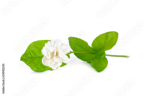 jasmine flower with leaf isolated on white background