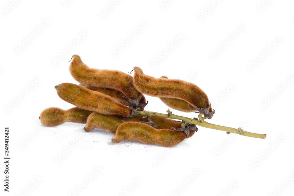 Fototapeta premium mucuna pruriens or velvet bean isolated on white background, tropical herbs