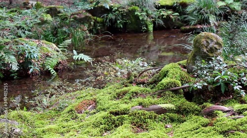 The Zen Buddhism Gardens in Ohara, Japan are unique in their design based on the cultivation and care of various types of moss. It is a thousand years old