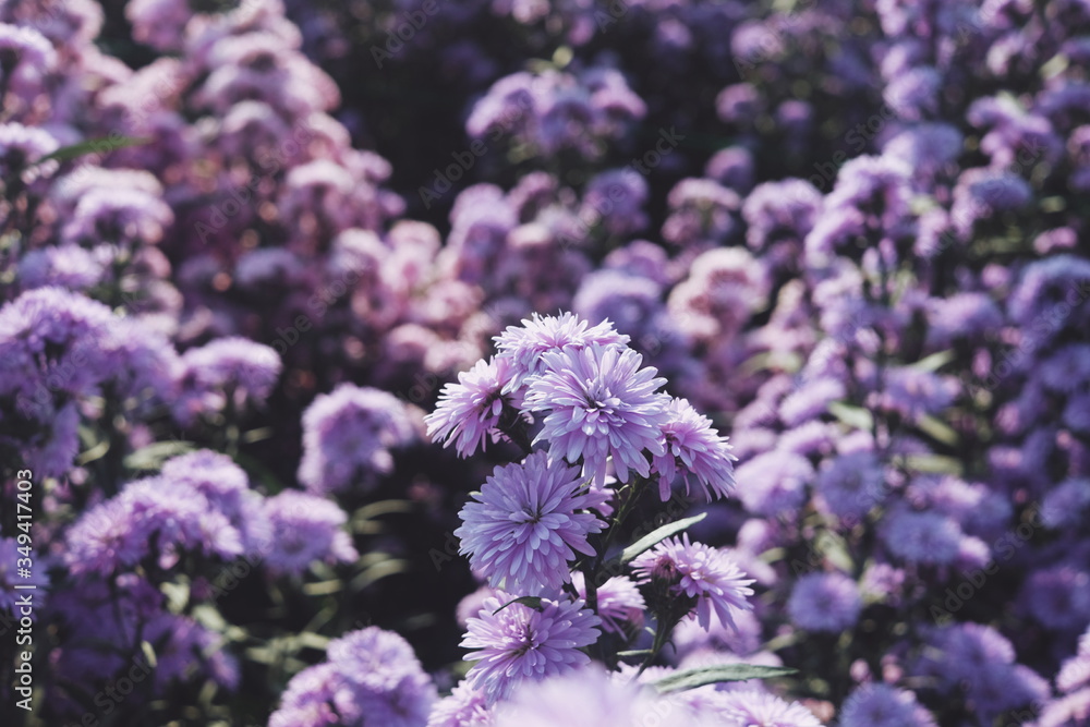 Processed with VSCO with a9 preset Processed with VSCO with a9 preset