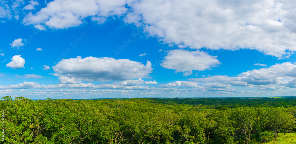 White clouds , Blue sky and green trees panorama White clouds , Blue sky and green trees panorama